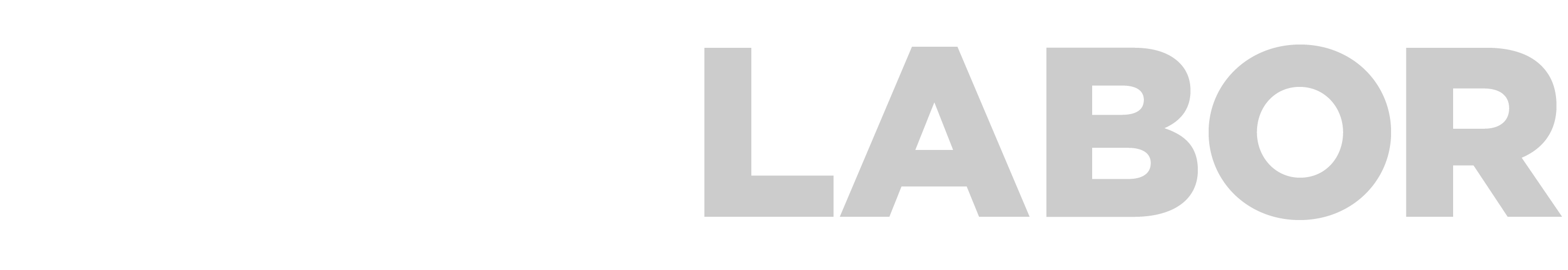 Logo DataLabor
